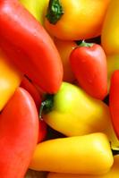 Des fruits et légumes certifiés biologiques